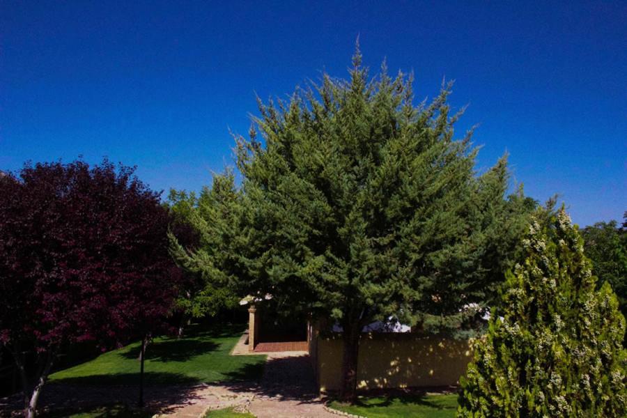 Villa Cortijo De Abajo Puebla De Don Fadrique Esterno foto